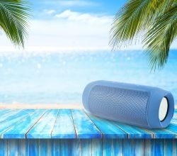 Waterproof Speakers